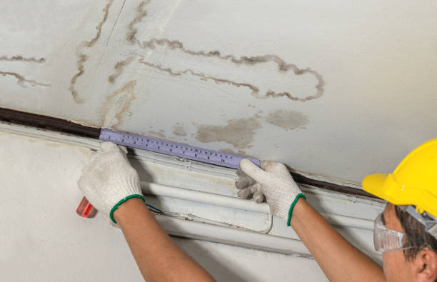 Reliable Flood Cleanup contractor in Custer, SD by Water Damage Irwin